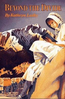 Beyond the Divide 9780027516708