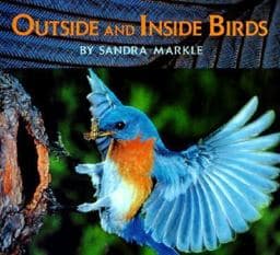Outside and Inside Birds 9780027623123