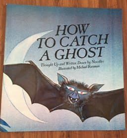 How to Catch a Ghost 9780039217280