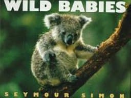 Wild Babies 9780060230340