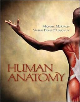 Human Anatomy 9780072495850