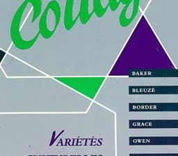 Collage 9780075408376