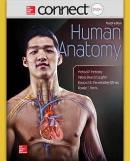 Human Anatomy 9780077677336