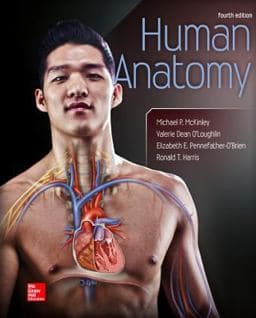Loose Leaf Version for Human Anatomy 9780077677381