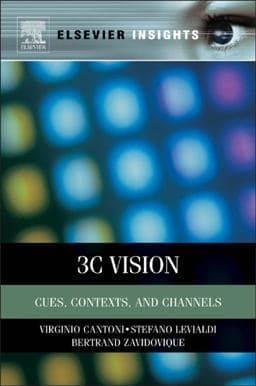 3C Vision 9780123852212