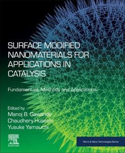 Surface Modified Nanomaterials for Applications in Catalysis 9780128233863