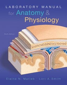 Laboratory Manual for Anatomy and Physiology 9780134206332