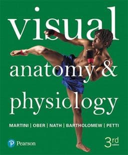 Visual Anatomy and Physiology 9780134511191