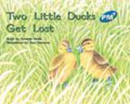 Two Little Ducks Get Lost 9780170096584