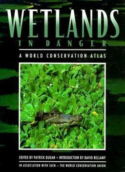 Wetlands in Danger 9780195209426
