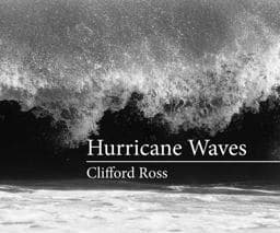 Hurricane Waves 9780262029971