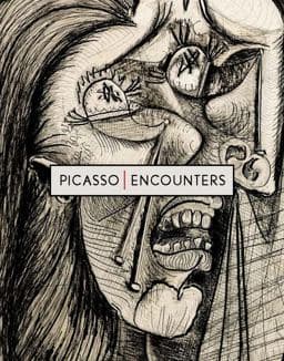 Picasso Encounters 9780300229271