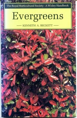 Evergreens 9780304318520