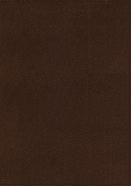 ESV Thompson Chain-Reference Bible 9780310462019