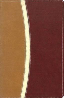 NIV Reference Bible 9780310937883