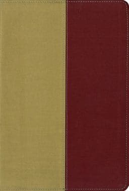 KJV/Archaeological Study Bible 9780310940838