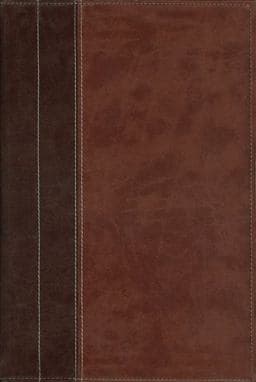 Archaeological Study Bible 9780310948612