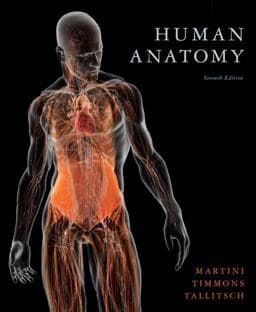 Human Anatomy 9780321688156