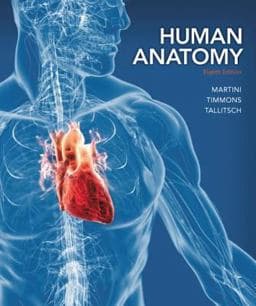 Human Anatomy 9780321883322