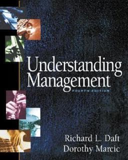 Understanding Management 9780324259186