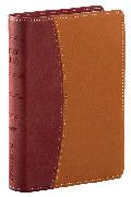 NIV Compact Reference Italian Duo-Tone Burgandy/ Tan 9780340863152