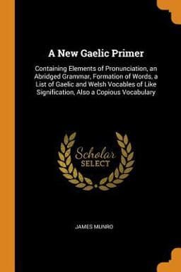 A New Gaelic Primer 9780341908159