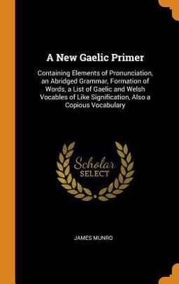 A New Gaelic Primer 9780341908166