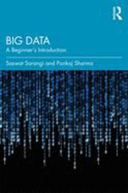Big Data 9780367148904