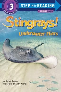 Stingrays! Underwater Fliers 9780375971532