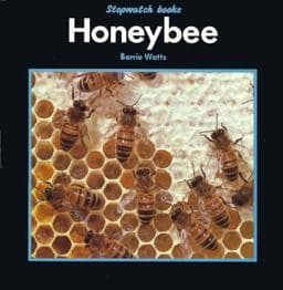 Honeybee 9780382240119