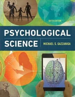 Psychological Science 9780393624045