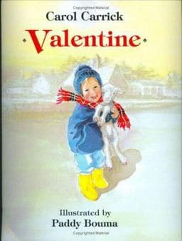 Valentine 9780395665541