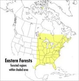 A Peterson Field Guide to Eastern Forests 9780395928950