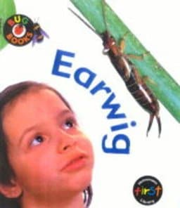 Earwigs 9780431017204