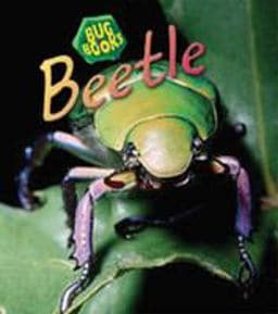 Beetle 9780431019857