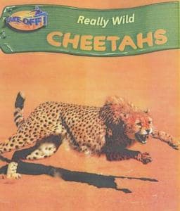 Cheetah 9780431029047
