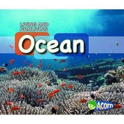 In the Ocean 9780431184685