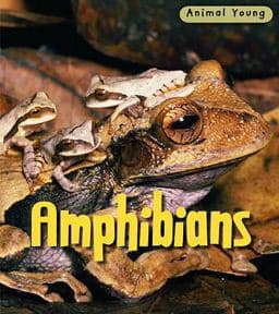 Amphibians 9780431932392