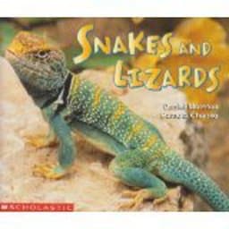 Snakes and Lizards 9780439411639