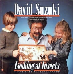 Looking at Insects 9780446381543