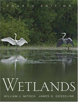 Wetlands 9780471699675