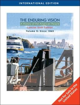 The Enduring Vision, Concise Volume 2, International Edition 9780495800668