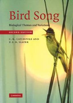 Bird Song 9780511405945