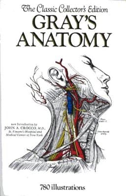 Gray's Anatomy 9780517209042