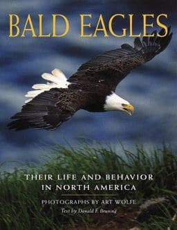 Bald Eagles 9780517881637