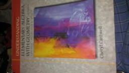 Ssm Understand Elem Alg 9780534383619