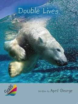 Rigby Reading Sails 9780544062979