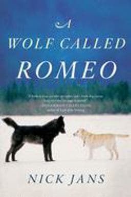 A Wolf Called Romeo 9780544228092