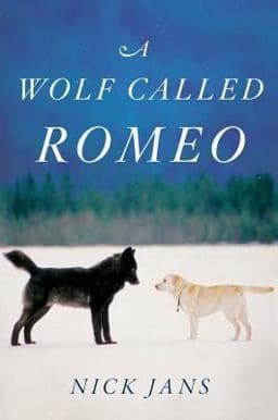 A Wolf Called Romeo 9780547858197