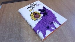 The Midnight Fox 9780571093205